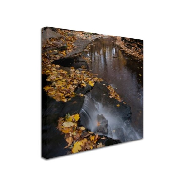 Kurt Shaffer 'Lakeview Autumn Waterfall #2' Canvas Art,24x24